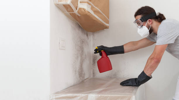 Professional Crawl Space Mold Removal technician working in Budd Lake, NJ